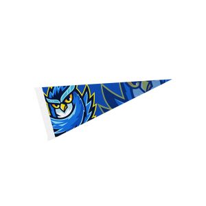 4in x 10in Pennant