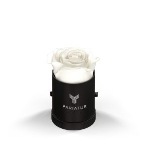 Classique by VeF Le Mini  Round