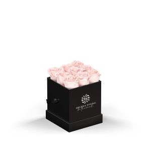 Classique  by VeF Le Mini  Square